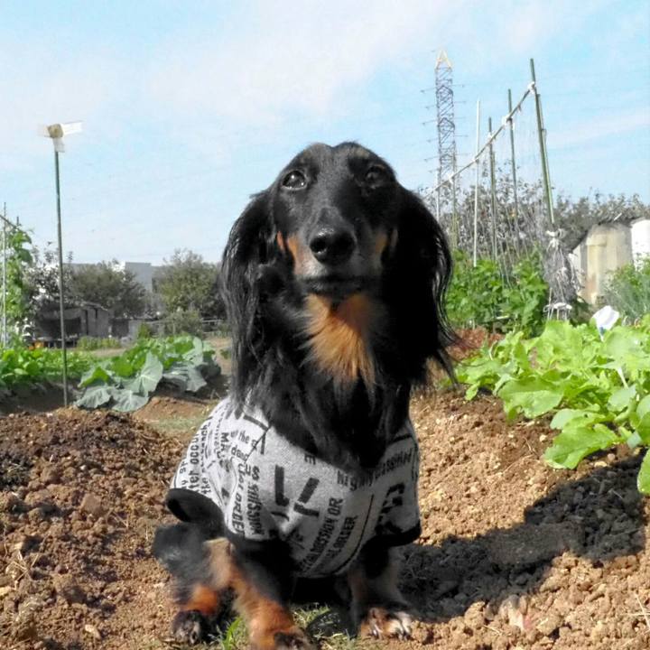 F0271a52 392b 4402 9395 d98ef92ce3cb 1539829419443