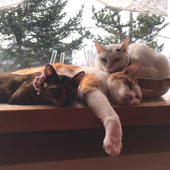 F0271c75 7df2 4f17 b6d0 bc38d17fd079 1620166113950