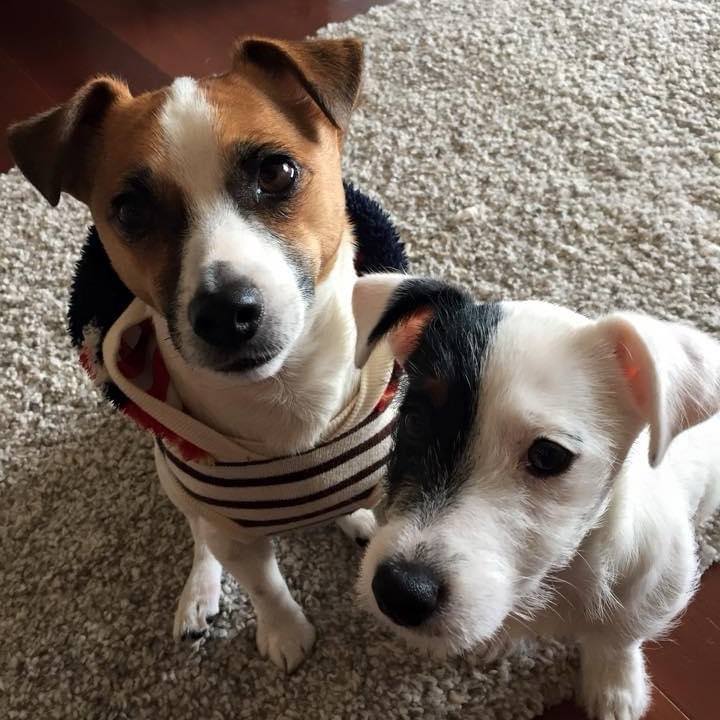 F02729c9 318c 4b31 8f1c 86296e0587b0 1709558348209