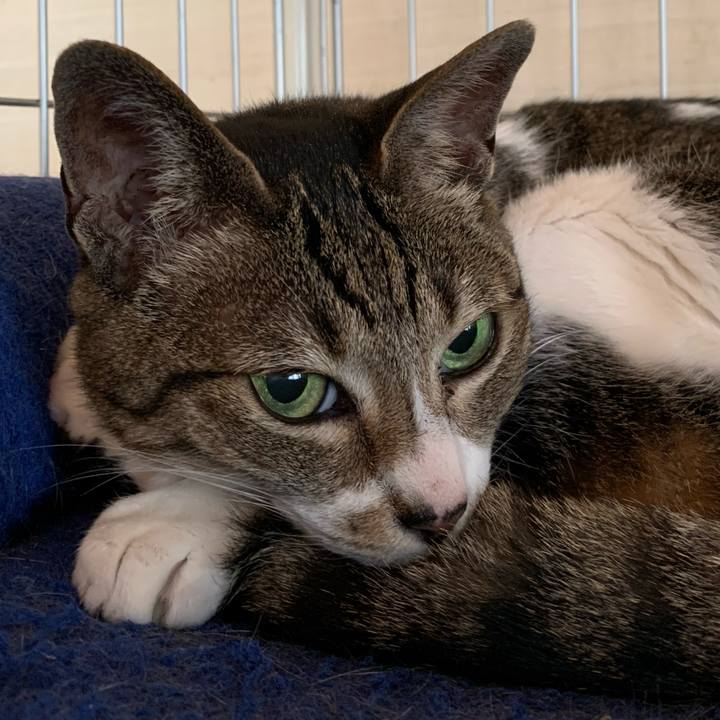 F02749e0 c920 481a 9e2e bf6d2051eea9 1591751043930