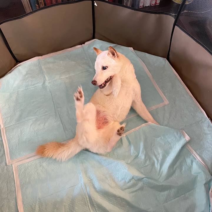 F0275e86 db96 4870 9bfb 0534b5d39fca 1660022764023