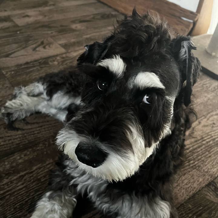 F027783a 57f5 45cb 9789 3ebbde26edcf 1766142540983