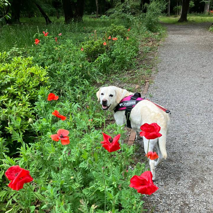 F027a278 26e3 4bd0 91a8 56c88ea8b39e 1684284498669