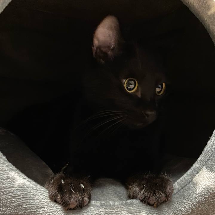 F027e0b6 18e2 4c24 b3d6 62533417520f 1635763802368