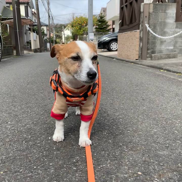 F027fdf1 a2b5 4e58 b9aa 517aca2da023 1647395238102