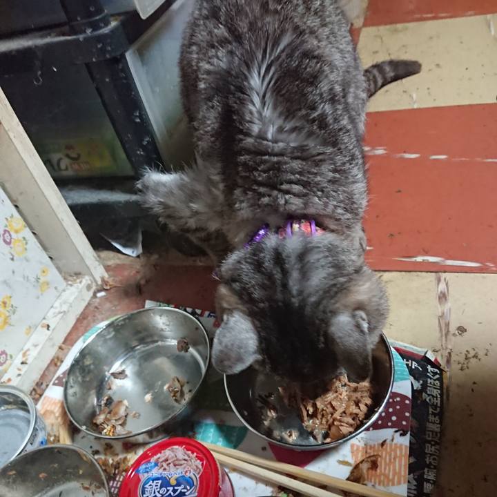 F0281570 829b 4897 8f69 cf02030848dd 1593169691374