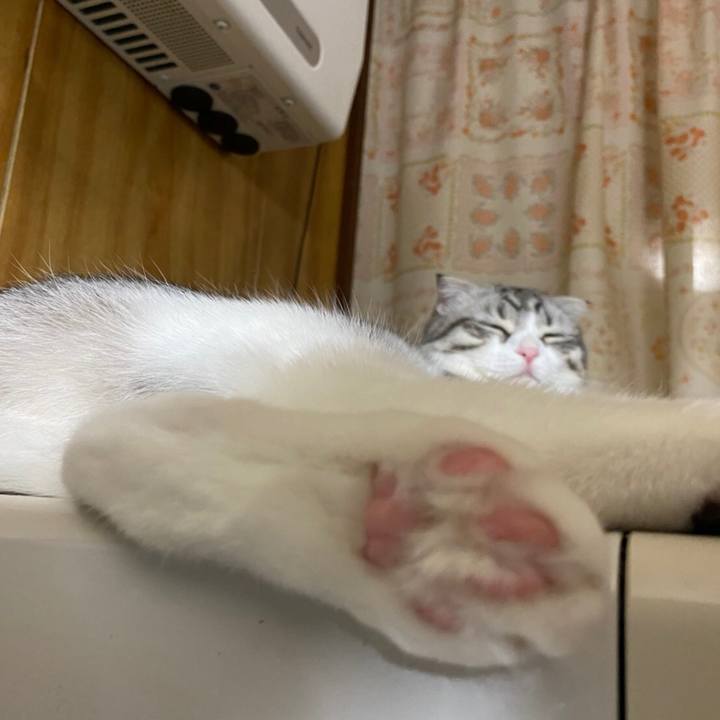 F0281d36 2e2e 4d8d bfc2 f020e68f9e49 1622465690790