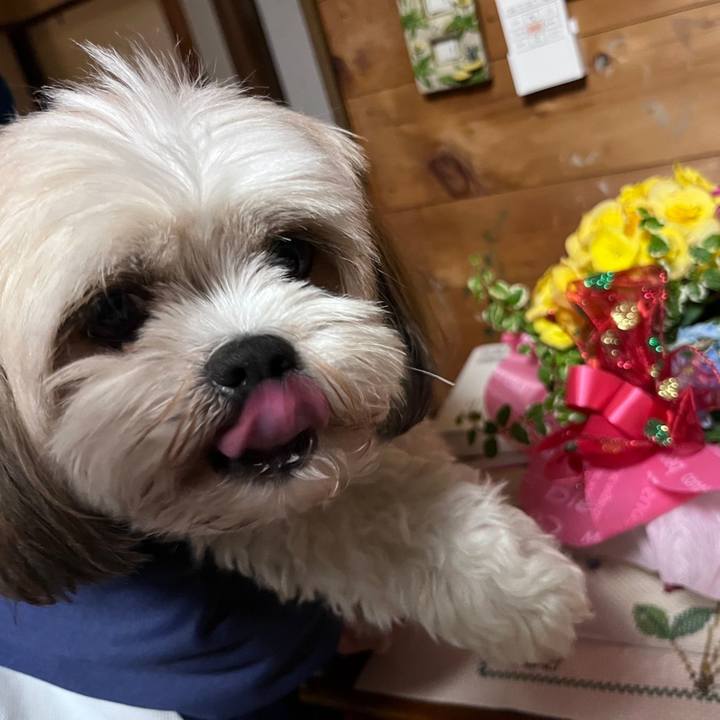 F0283177 8443 4e4f 8be1 31b2e2176238 1684579218588