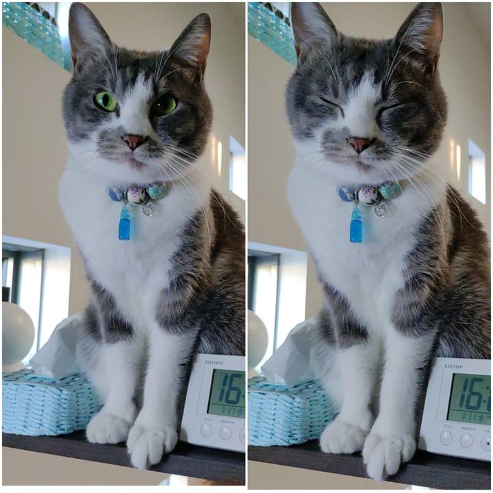 F028463d a26c 43db b4de 23c12174565d 1673424735995