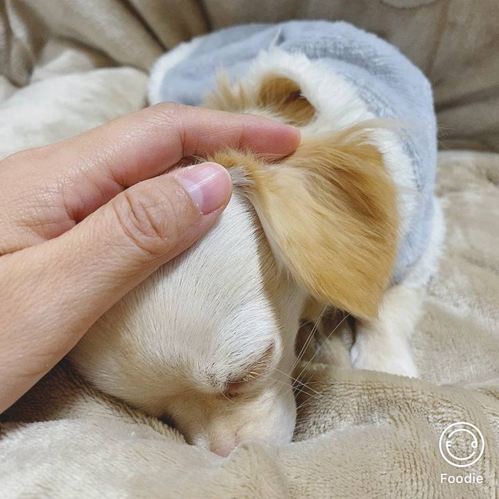 F0286c79 4b2f 41ce 9d72 c988dc36c488 1606483321801