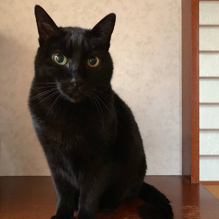 F0288a3f 350e 48ec acd2 b7c5fd394040 1548810872797