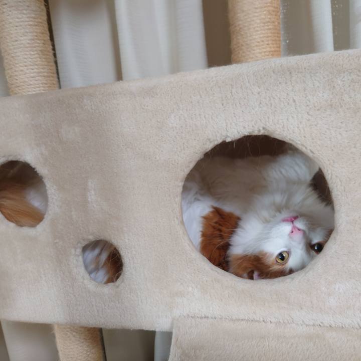 F0289174 42ca 40a4 9df0 a7b08556d037 1603005137985