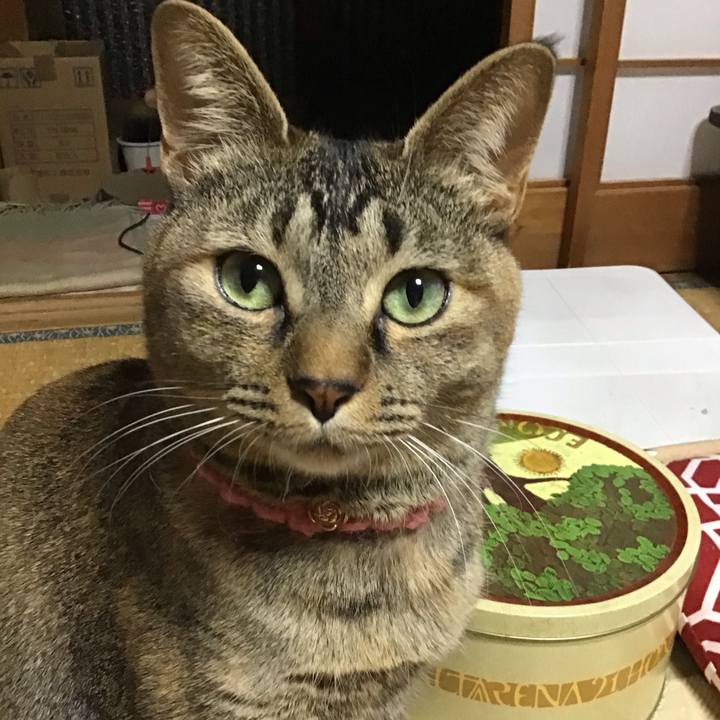 F028b162 2d20 43f7 85be 7d911662384c 1615287486678