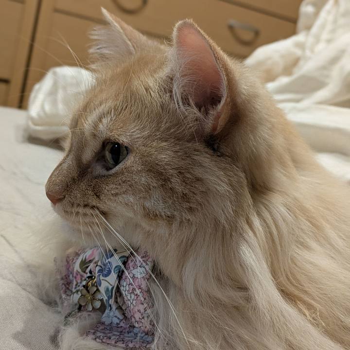 F028b7da da78 43e1 8b98 c3ffeaef51e9 1750430098577