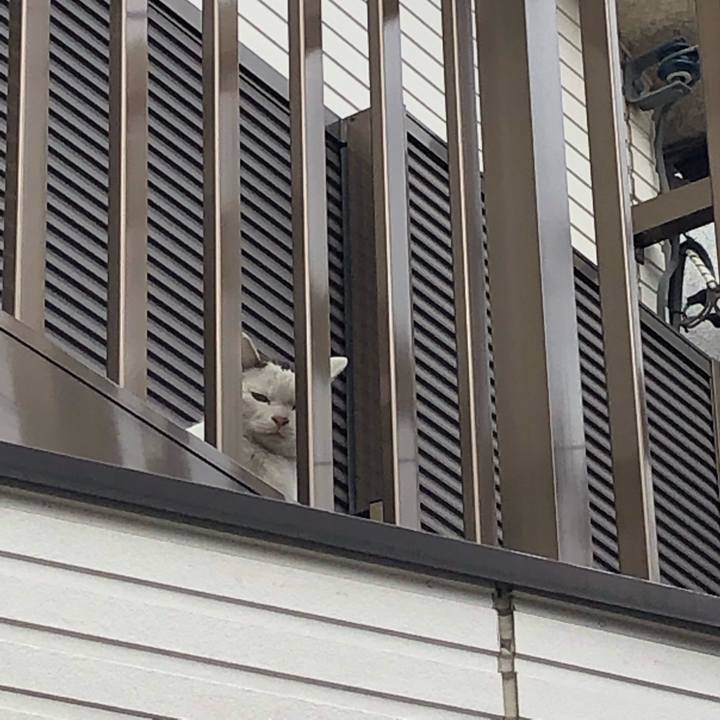 F028ebeb e8e5 4175 8aa3 8803f1fd9948 1555085753239