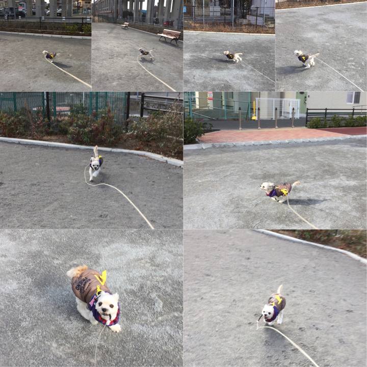 F0291456 ff40 4c5e 8a7b dc91ec279968 1516359806017