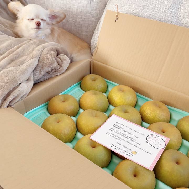 F0293558 1111 4334 8210 924993370e18 1691054823462