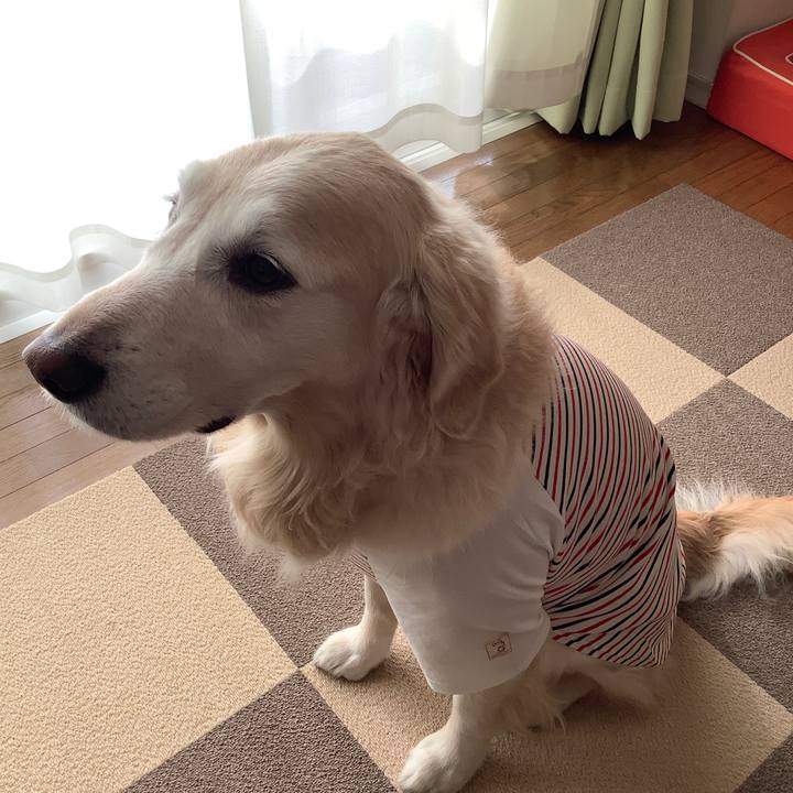 F02941b5 be18 4332 8340 3a34963637ac 1609040768639