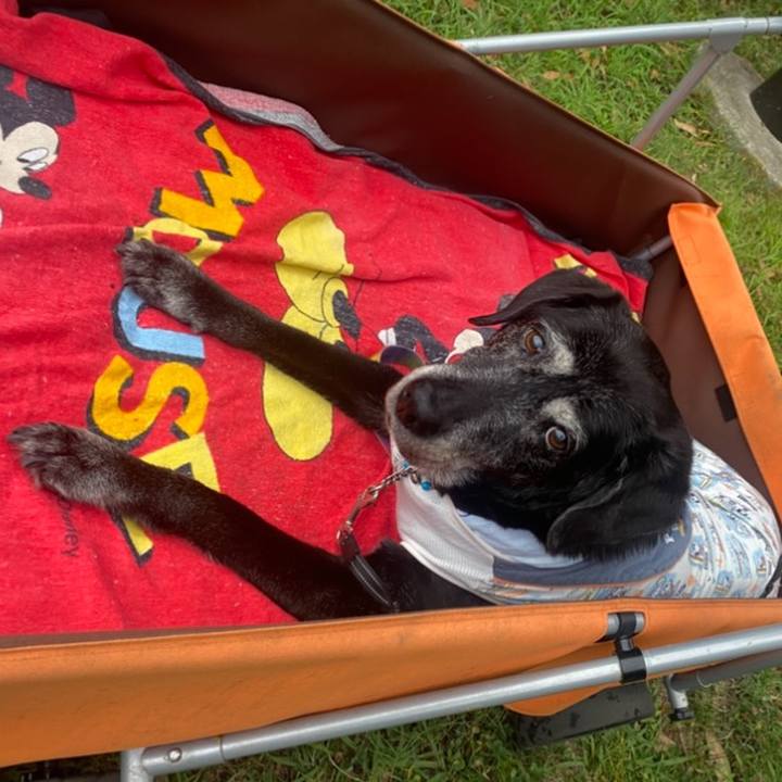 F02947d0 b7e3 422f 82c6 bee1a16c35e6 1765717763678