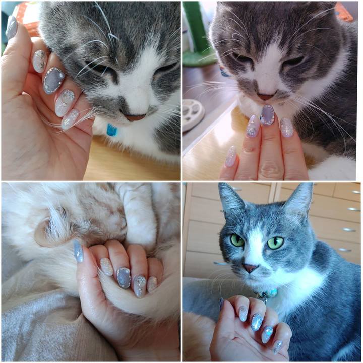 F02962b8 e7f8 44a8 9c16 e8c50013ecdc 1702013294939