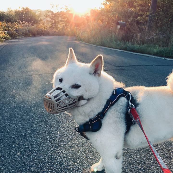 F0296378 8fe2 4815 8a69 7f8567312115 1632691996712