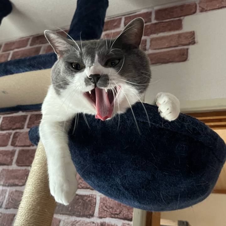 F02965c9 bd7a 466b a2ab 6714d6db02bc 1663894379739