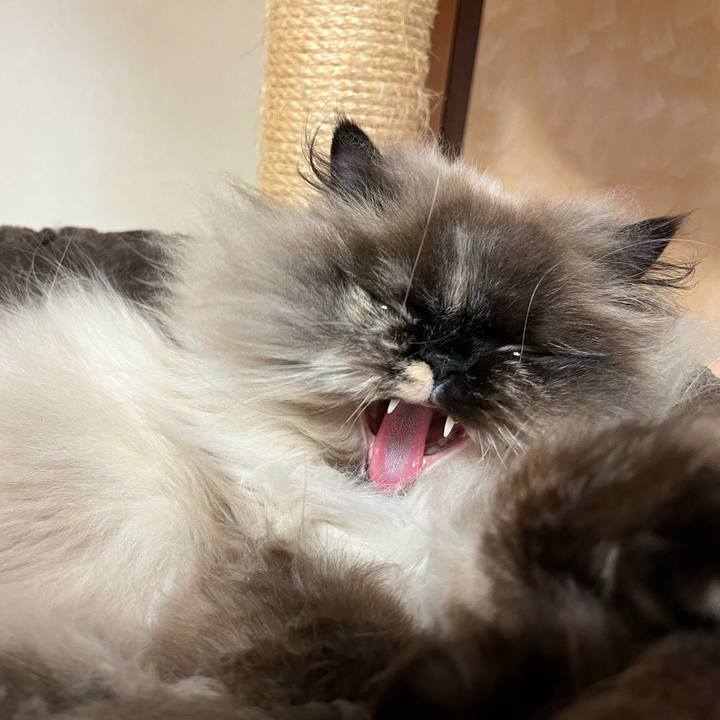 F02965e3 1356 4879 af4d 741a6946f616 1682164399468