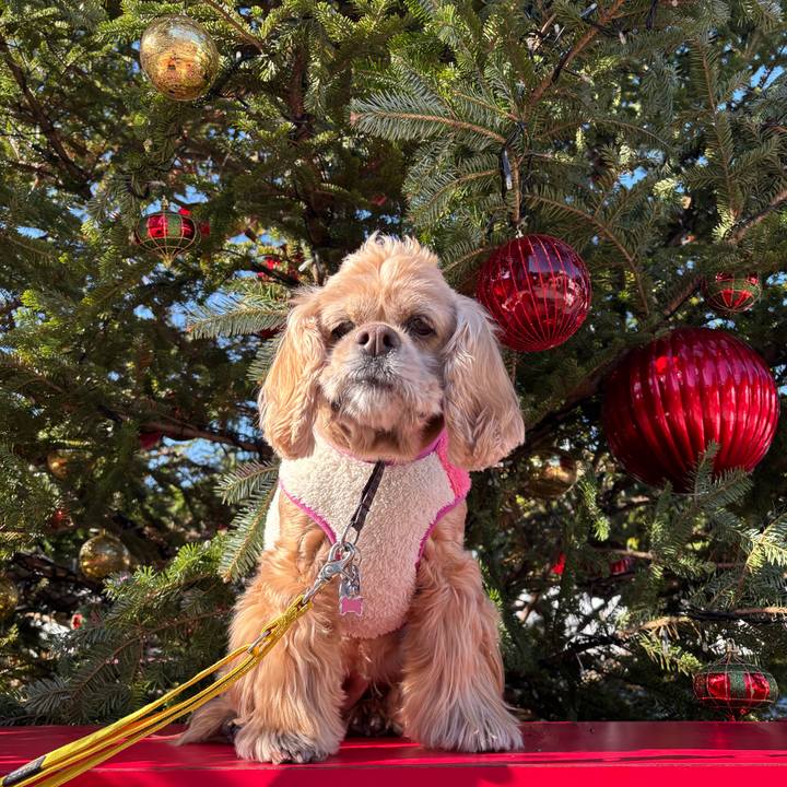 F0296ab0 4296 44c8 bee7 246f02069996 1763133510202