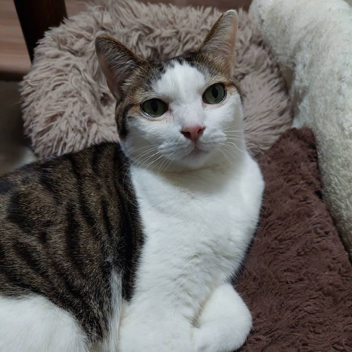 F0296d37 302e 4178 a2b9 6b6bc4a0ce2f 1772714225847