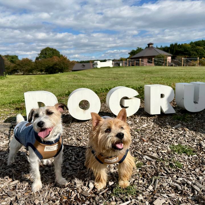 F029835b 9904 4c13 8baf 9ff50dda9eb3 1761401997584