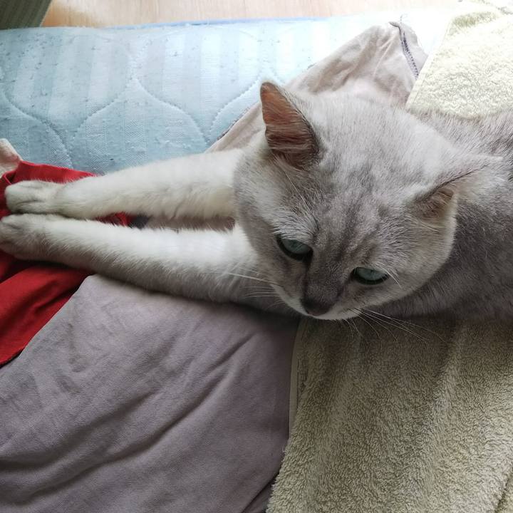 F029b82d 5273 4f32 b974 0cf94ee1f278 1529283213266