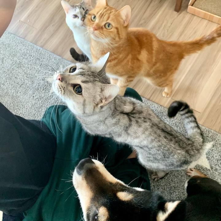 F029db96 051a 4d07 b471 ec72f76f0182 1646541122722