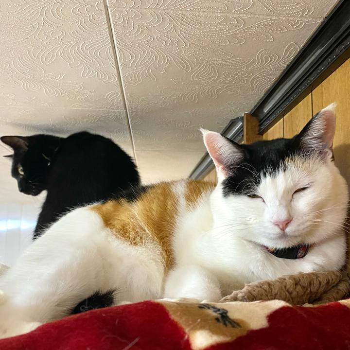 F02a2a43 8b59 4703 87ae ea93b6aacf41 1702901973117