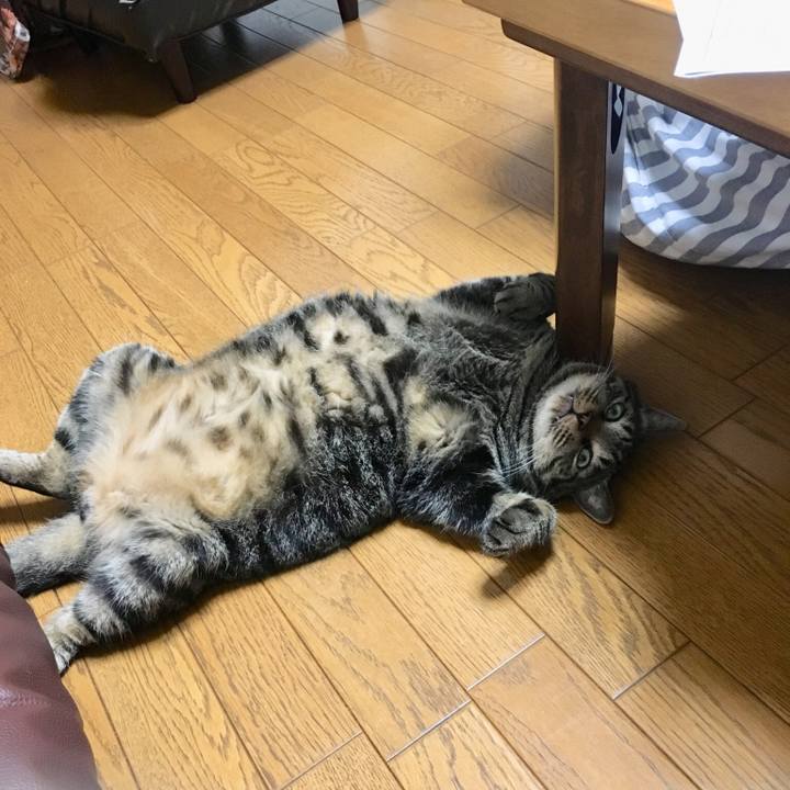 F02a42fd 069e 4a8f a585 32fc6349df32 1532087544568