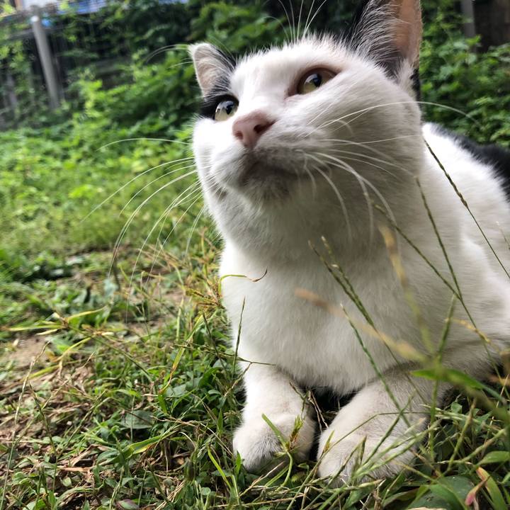 F02a94b9 dc86 4002 a868 9738ba7d06d1 1599603647712