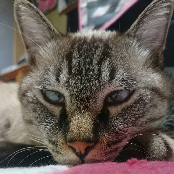 F02ab51c 7be1 4f4b a22e f6bd63bc94b3 1508585727671