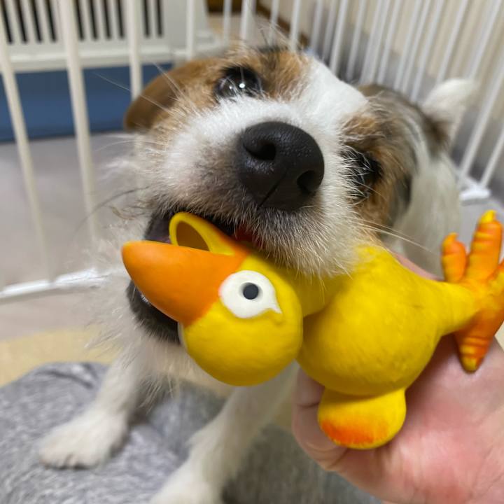 F02ae379 93e0 4fd7 bde1 df7d4a2b03dd 1642851431943