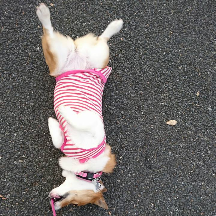 F02b0450 e0ed 4d79 9f3c fe9de2b7ca42 1542005559183