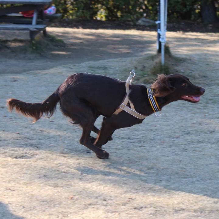 F02b2014 53cb 46ec b01f cee36c0492ac 1576450594782