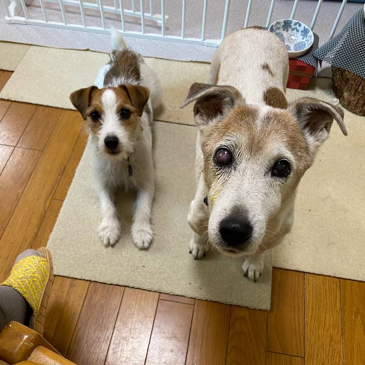 F02b4767 2341 468d b462 66557c9e0d4d 1668813422994