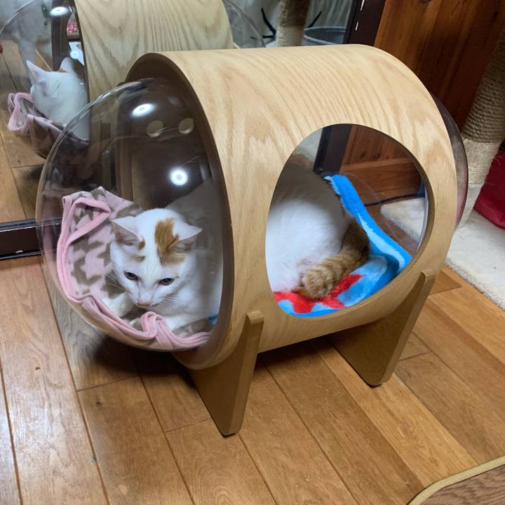 F02b6436 5ed9 4f2d 8429 b3ea95d310e0 1581002871072