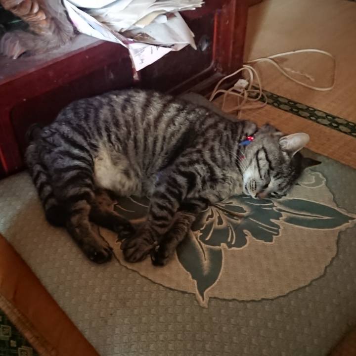 F02b6b35 788a 44d9 a35b 814320b0bab6 1655936186767