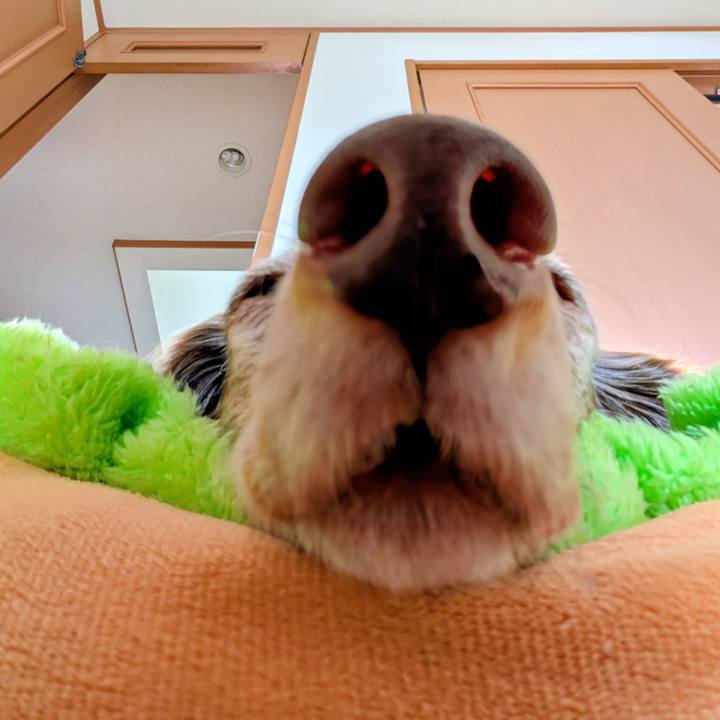 F02b6f30 588e 4542 8c21 b996863ef8ba 1762385328840