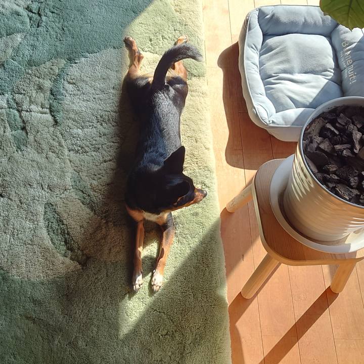 F02b89ac f1b7 4160 9326 6293be302d5b 1771120446767