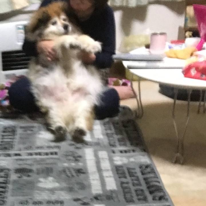 F02bb44f d57a 4283 9d4c 21b2c4513789 1576844290268