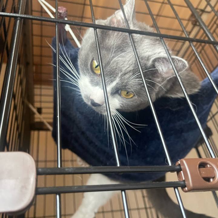 F02bc9a5 b0f0 4e92 bd78 8dbcd645a6b0 1690420407661