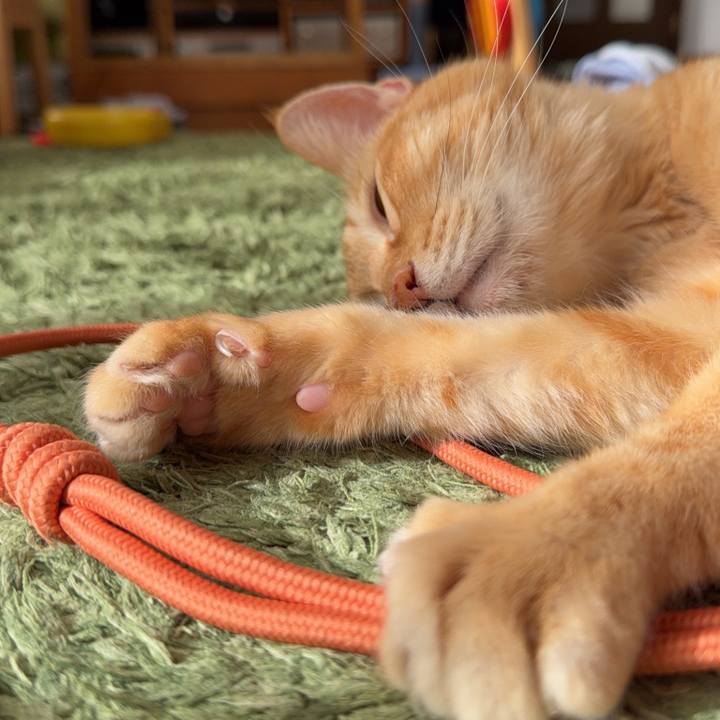 F02bdaea 2b32 41b2 ab15 1bc0e4a5f25e 1765155310972