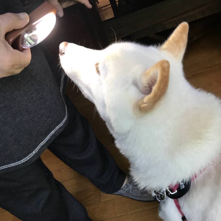 F02be8d1 493d 425c 986c b3607960a802 1536362412811