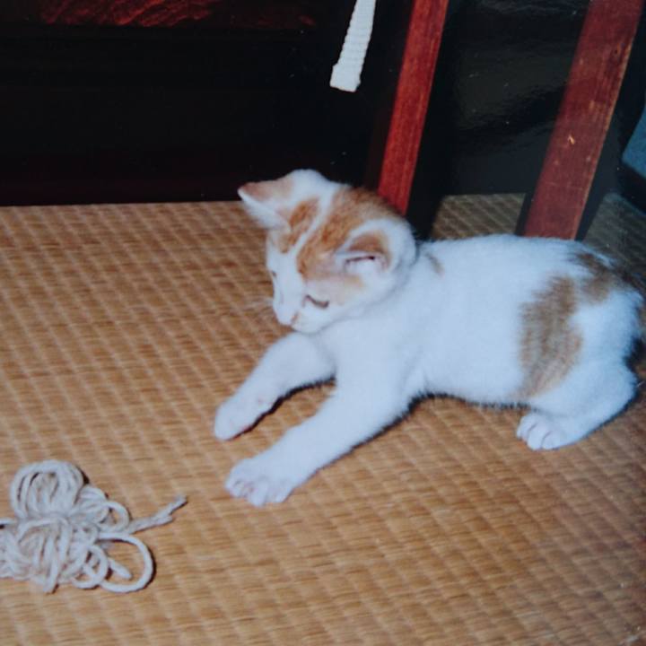 F02bf7a5 ce9d 4502 b2a4 db00428453b2 1556679322143