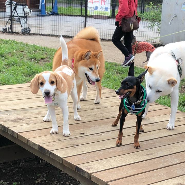 F02bfdaf b387 4044 b943 03aac9151e8d 1529240660120